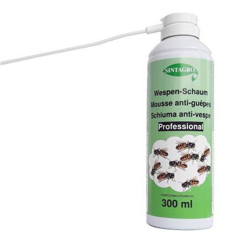 Wespen-Schaum